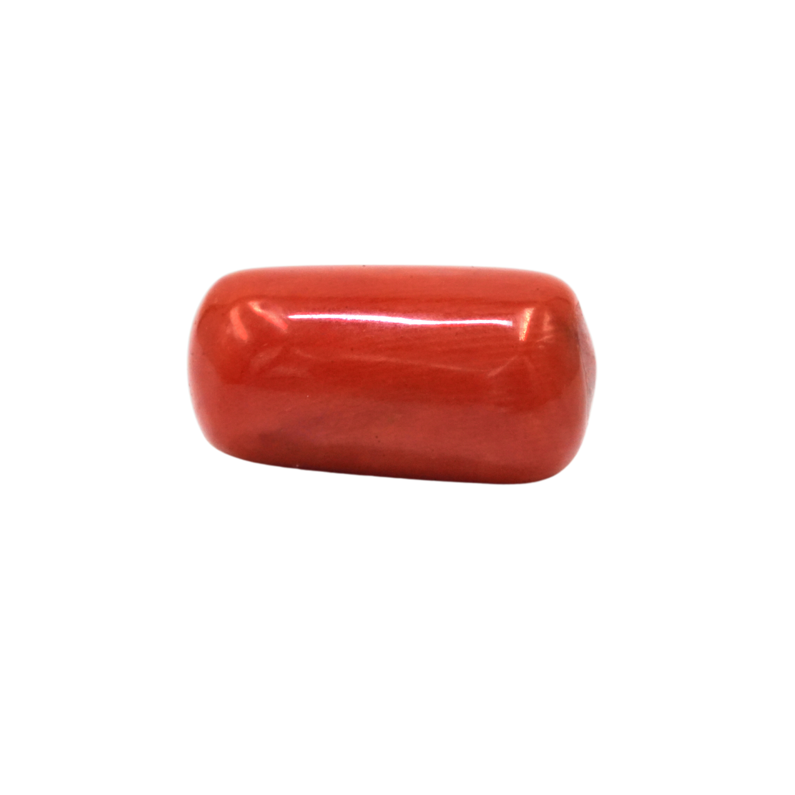 Red Coral ( Moonga)