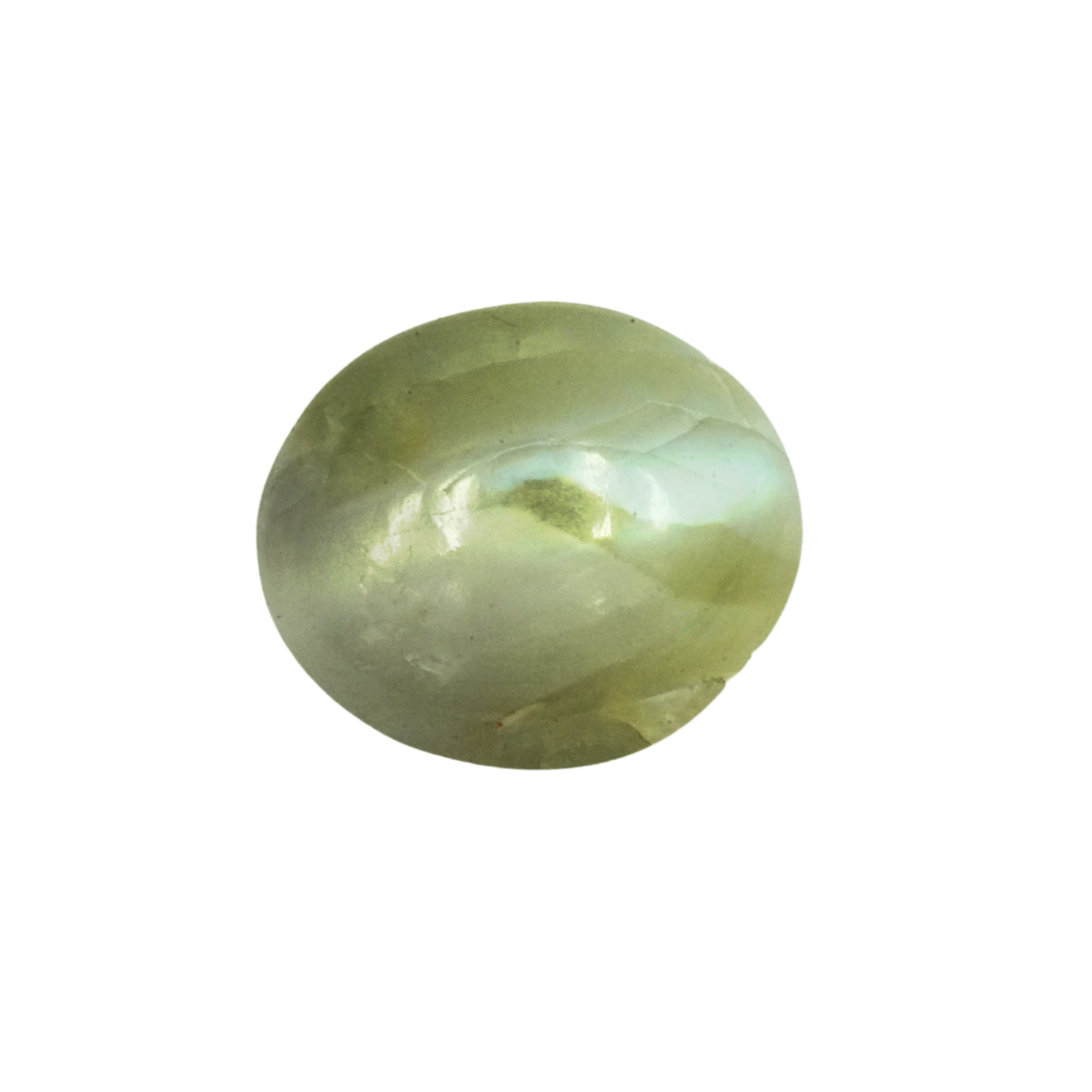 Cat's Eye  (Lehsunia )